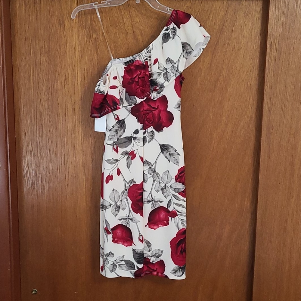 Floral One-Shoulder Ruffle Dress - Picture 2 of 4